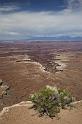 231 Canyonlands National Park, Buck Canyon Overlook